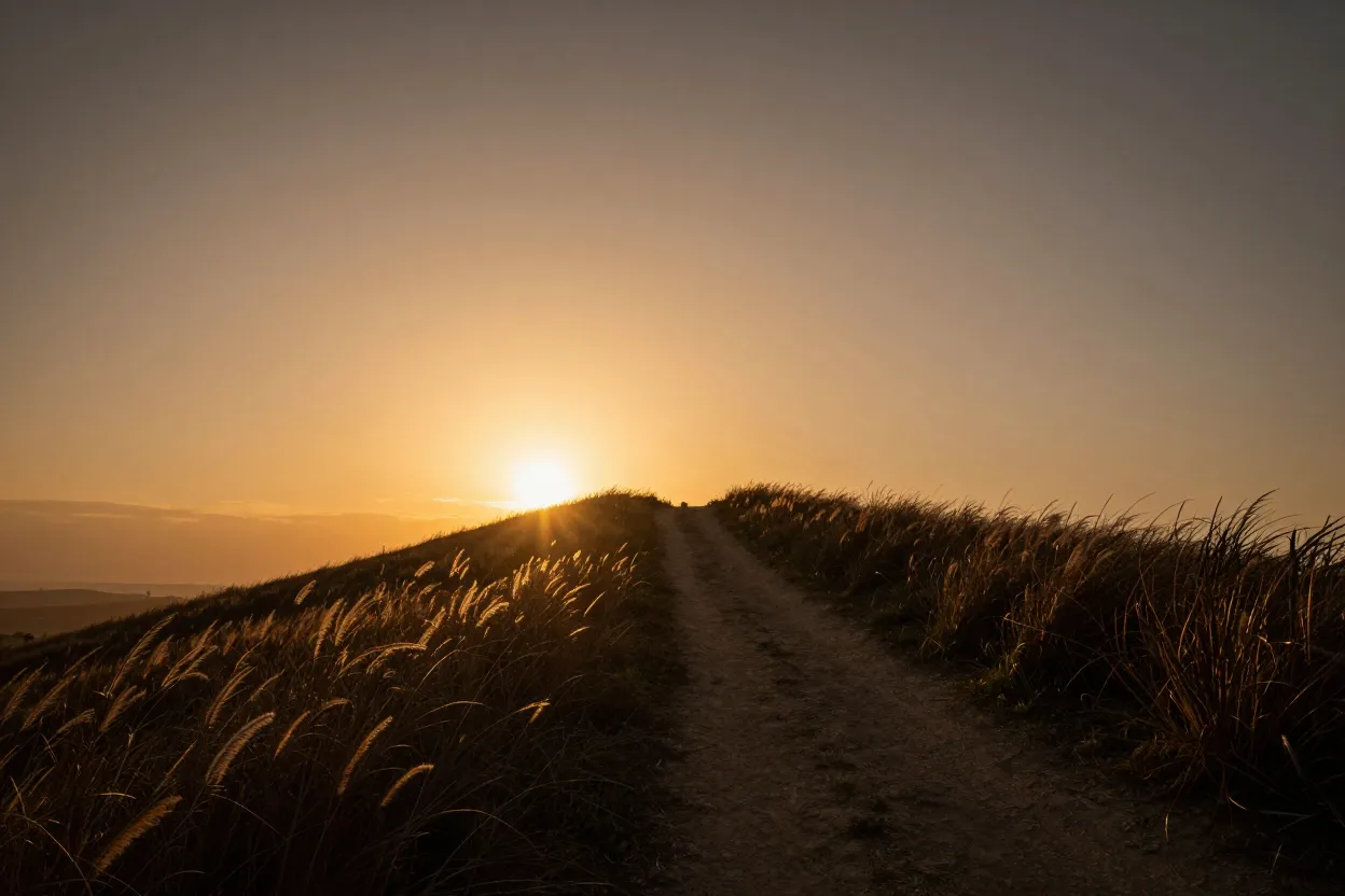A path winding up a hill toward sunrise